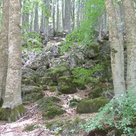 Generale Cantore - Monte Amiata