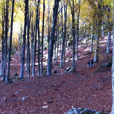 Generale Cantore - Monte Amiata Hotel 3*
