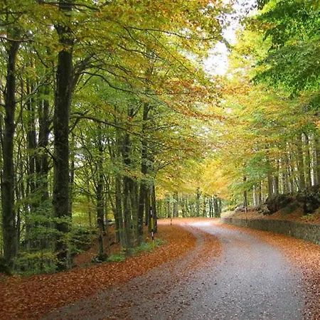 Generale Cantore - Monte Amiata מלון 3*